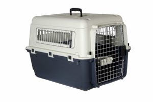 1 de las 2 mejores cajas de transporte para perros en avion normas IATA