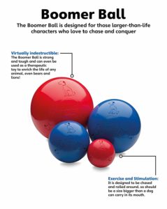 La pelota de Compañía de Animales Boomer Ball : 1 de los 5 mejores juguetes